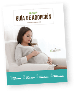 The Ultimate Adoption Guide for Expectant Parents packet