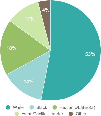 Race/Ethnicity of Adopted Children in Same Sex Households