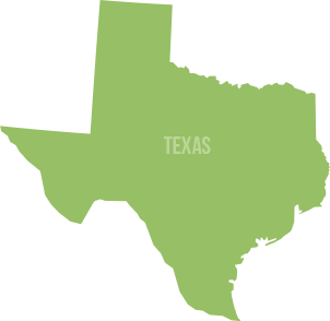 Texas adoption laws